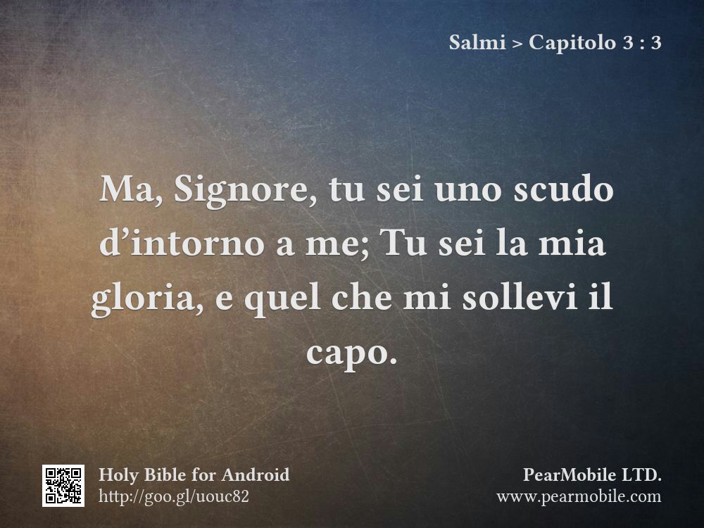 Salmi, Capitolo 3:3